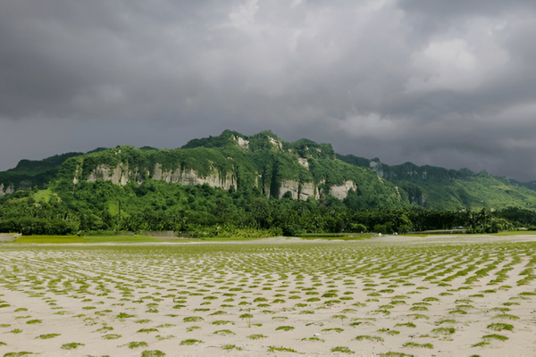 Green cliffs behind a wide sandy beach near Cox's Bazar